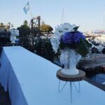 Ortensie: eleganza e colore per tutta l’estate