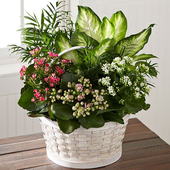 4 Nastri Floreali Verdi Larghezza 1/2 Pollice - 30 Metri Per Rotolo - Per Bouquet E Artigianato