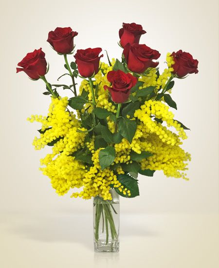 5eab34f2dc1cd2c8aa32a82f540e5a56