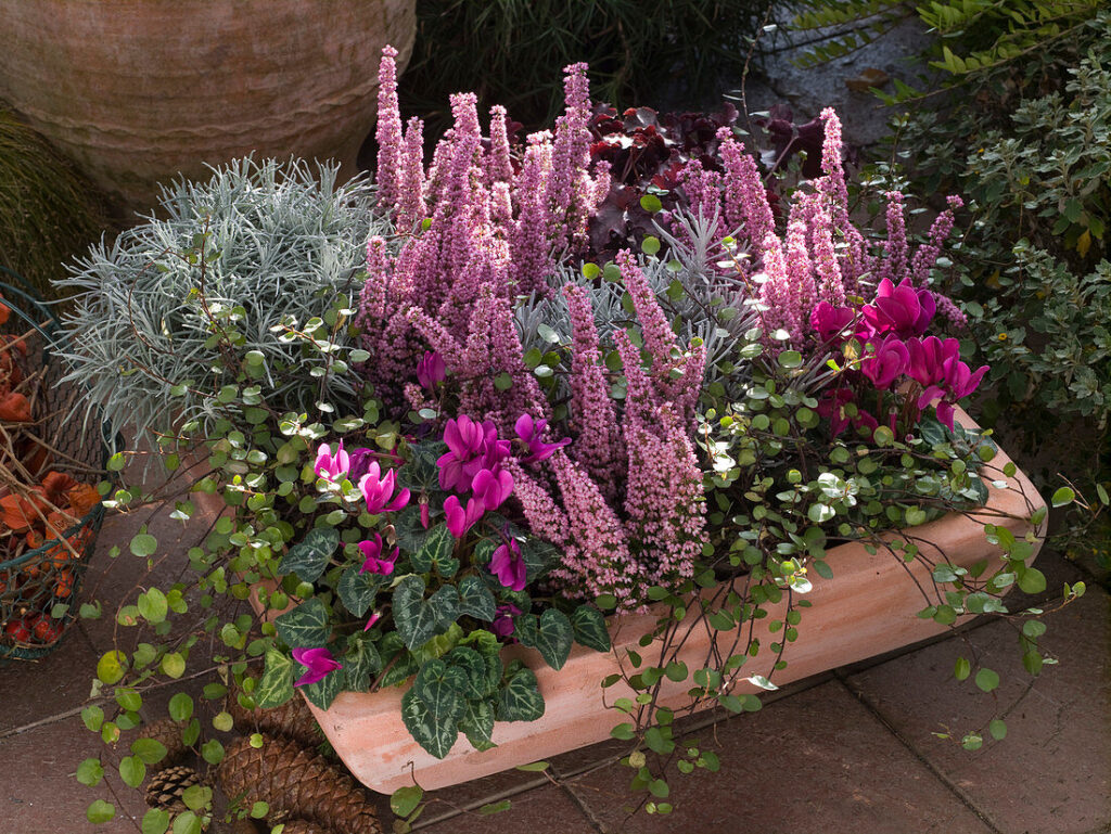 Interflora Messina​